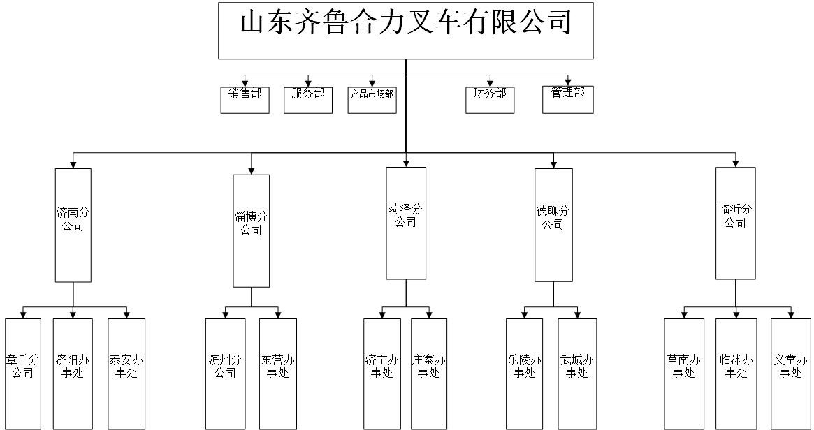 齐鲁pp电子组织机构图.jpg